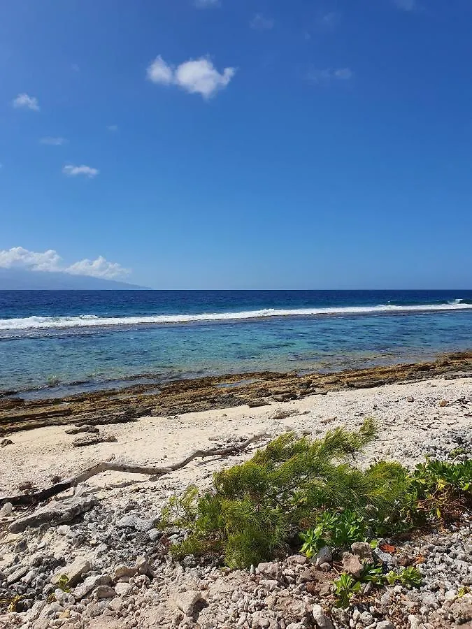 Moorea Lodge Temae