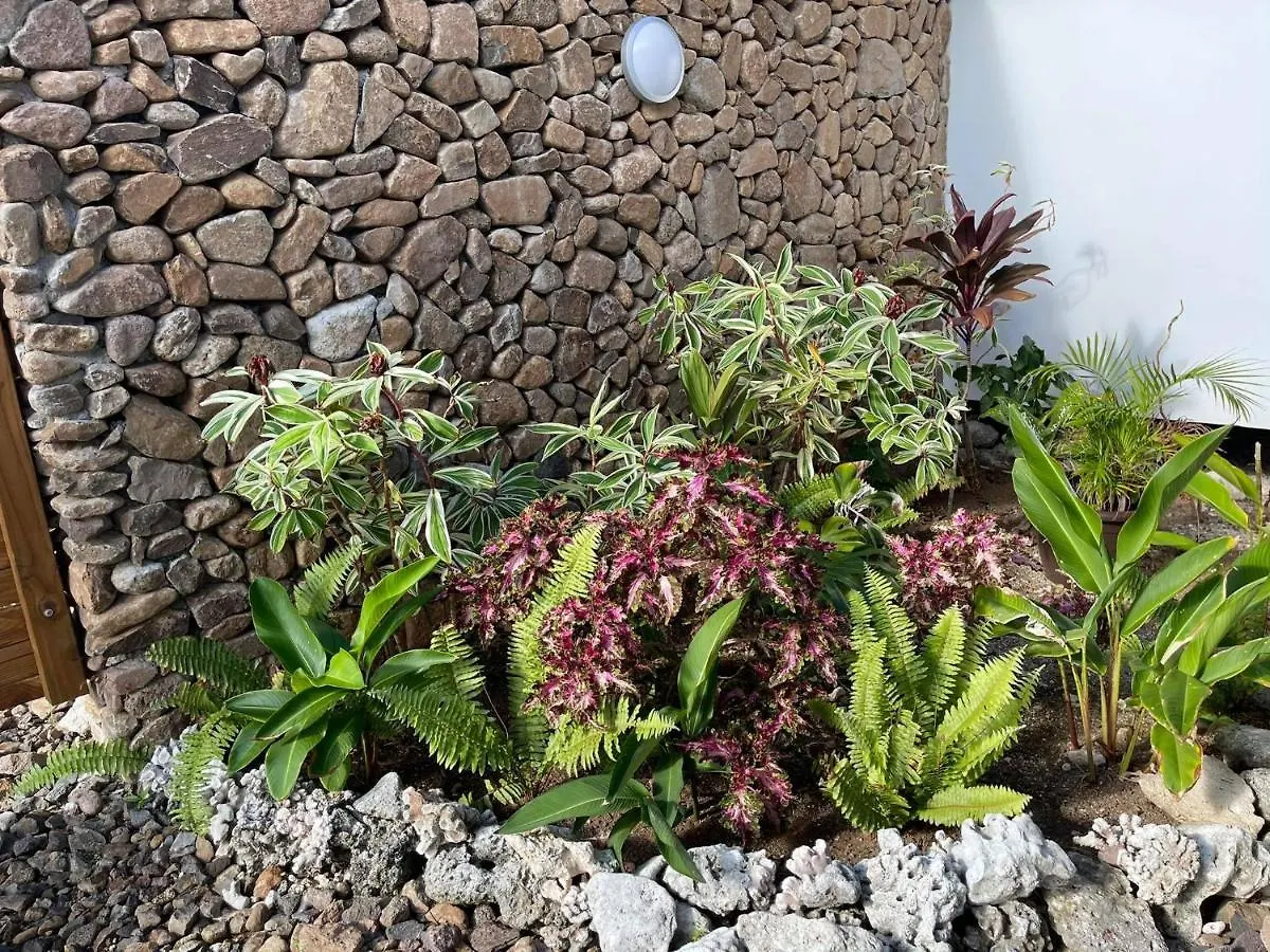 Moorea Lodge Temae